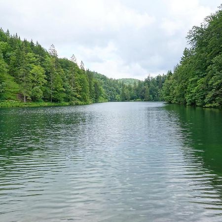 Plitvice Cottage Iggy Plitvicka Jezera Bagian luar foto